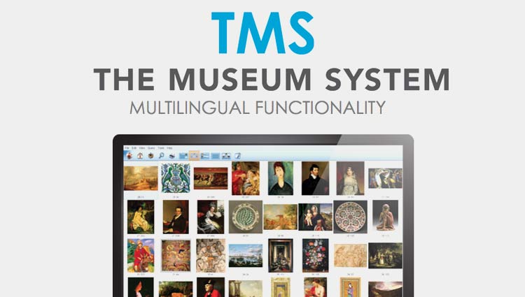 Multilingual Functionality in TMS