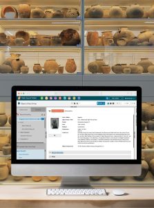 TMS Collections for collections management on a computer