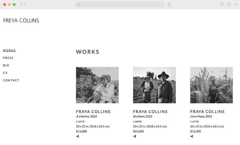 showroom home page for artist studio template.