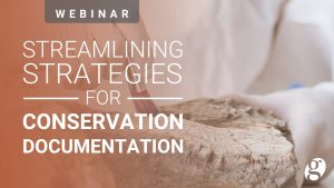 Streamlining Strategies for Conservation Documentation image