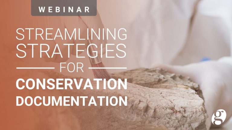 Streamlining Strategies for Conservation Documentation