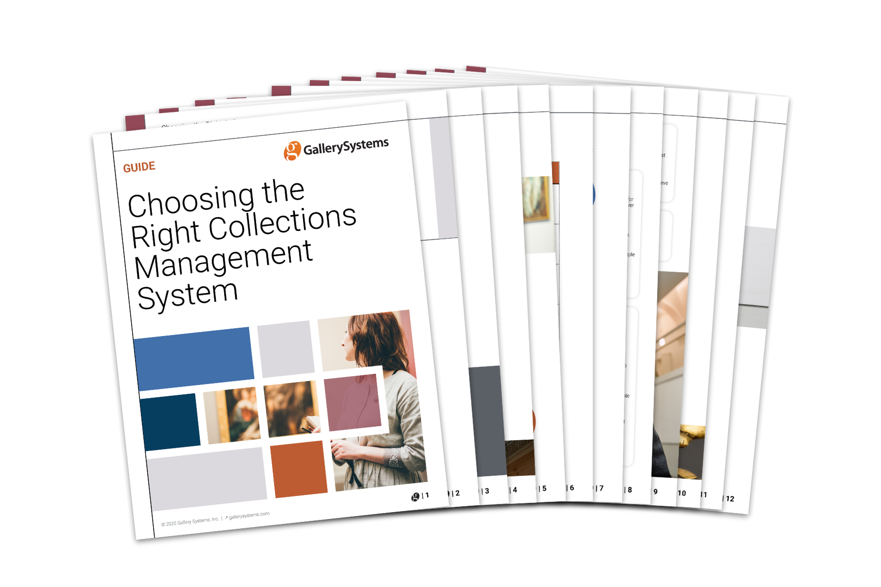 Decorative image of the Gallery Systems CMS Guide