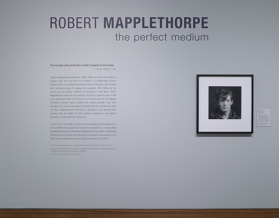 Robert Mapplethorpe: The Perfect Medium