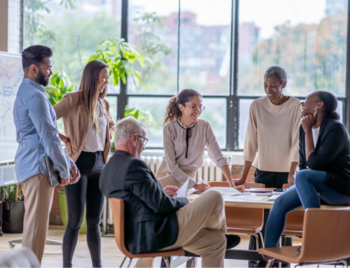 How Group Training Enhances Team Efficiency in Museum Collection Management Software