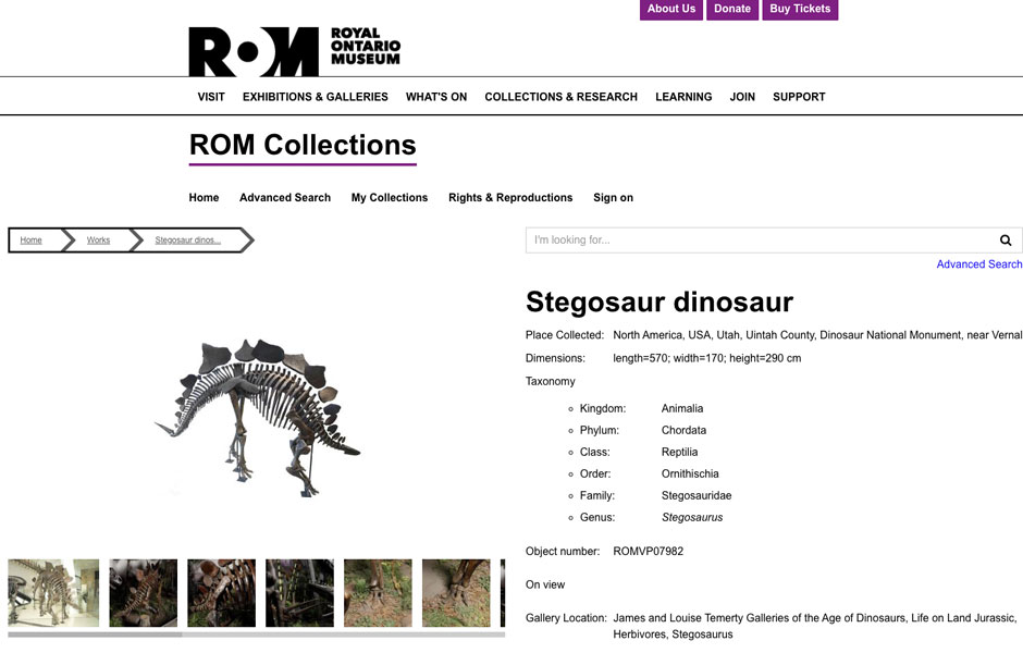 ROM_classification The Royal Ontario Museum (ROM) is using eMuseum's Taxonomy hierarchy display feature.