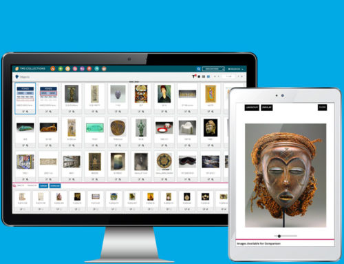 Gallery Systems Unveils TMS Collections 2020, the Most Powerful Release of its Online Collections Management Software